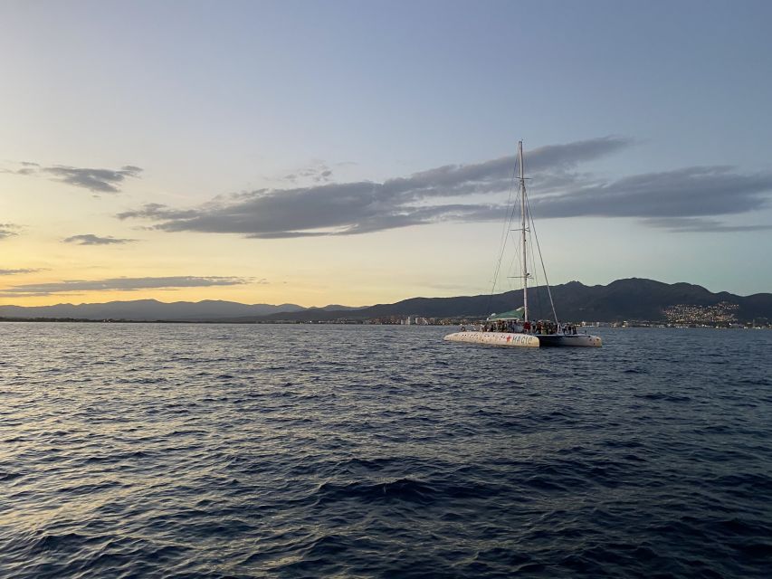 From Roses: Sunset Catamaran Cruise - Meeting the catamaran in central Roses