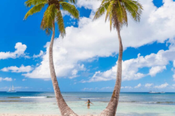 From Santo Domingo Saona Island Food And Drink Catamaran Vip - Lunch, rum, and the boat ride back