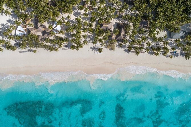 From Santo Domingo Saona Island Food And Drink Catamaran Vip - Is $95 a good deal from Santo Domingo?