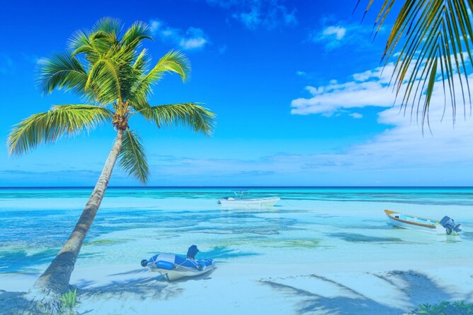 From Santo Domingo: Saona Island For Small Group Catamaran - Why this Saona Island trip works from Santo Domingo