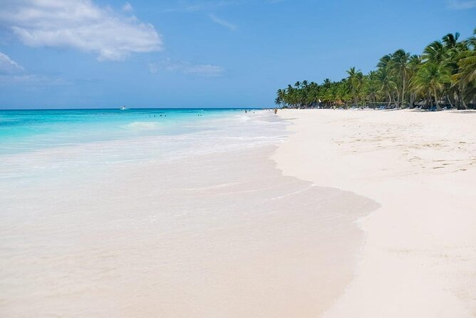 From Santo Domingo: Saona Island For Small Group Catamaran - Saona Island allows nearly three hours of free time