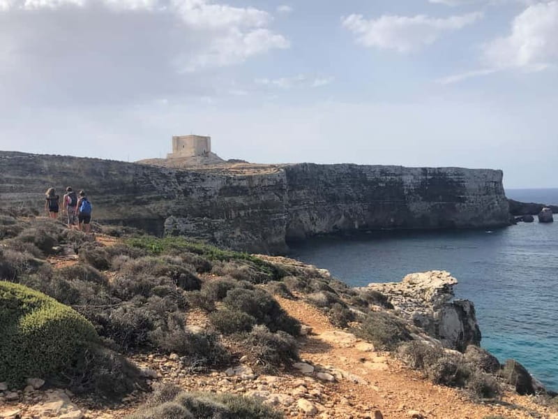 From Sliema/Bugibba: Best of Gozo & Comino Catamaran Tour VT - Gozo by road, then Victoria’s Citadel