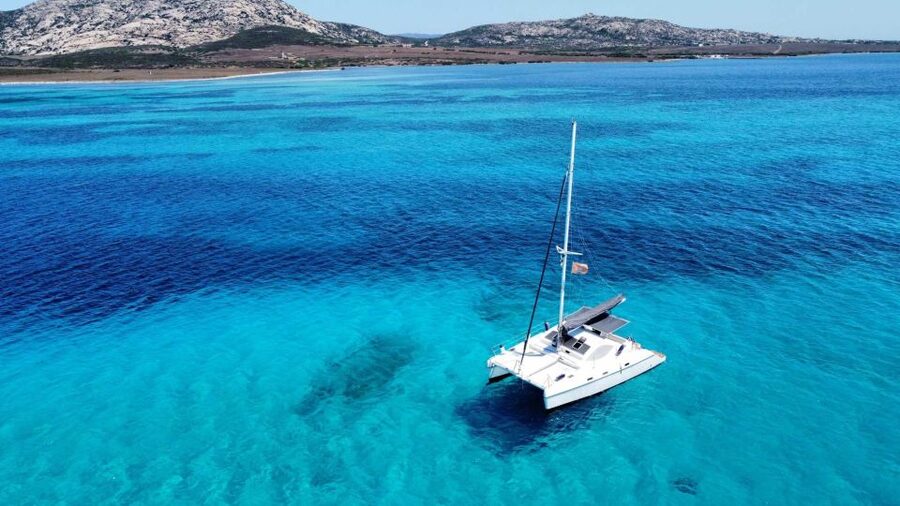 From Stintino: Catamaran tour to Asinara Island - Key points to know before booking