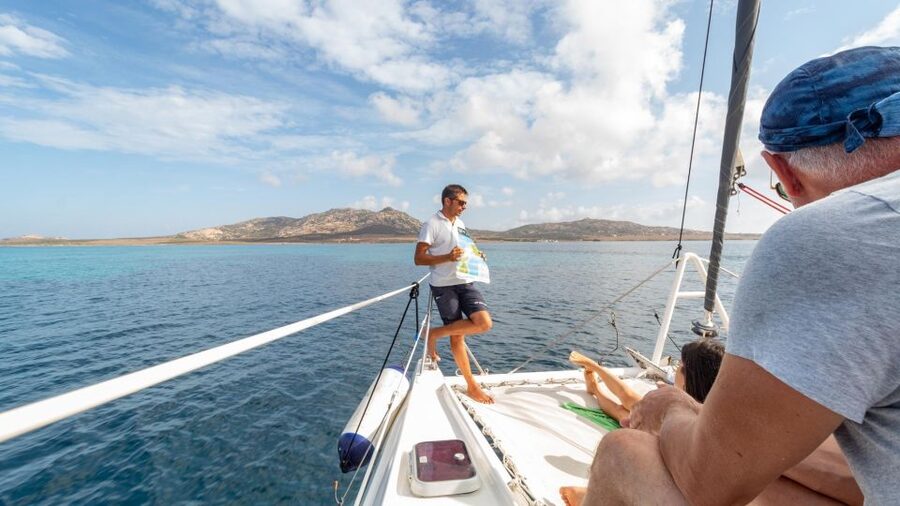 From Stintino: Catamaran tour to Asinara Island - Sardinian lunch served at sea