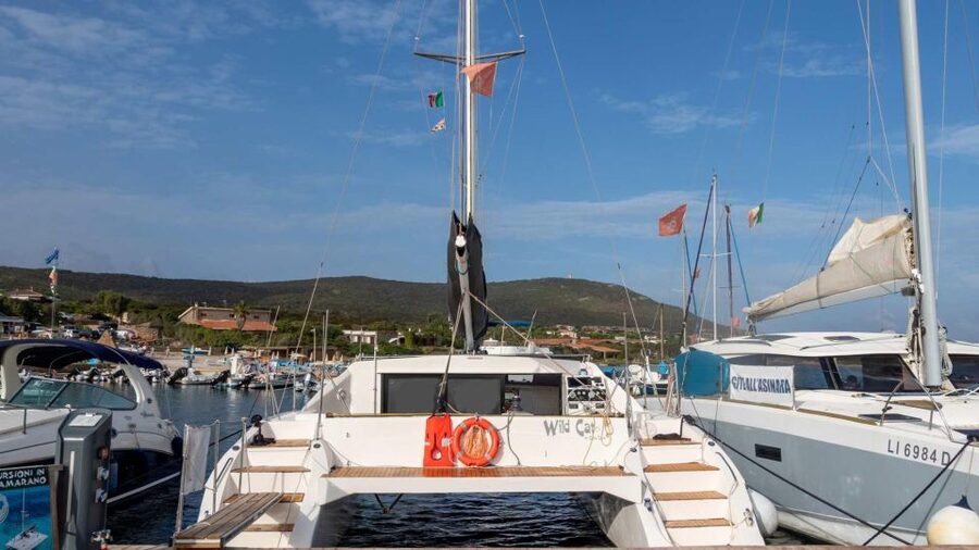 From Stintino: Catamaran tour to Asinara Island - The value of $134.81 for a full day
