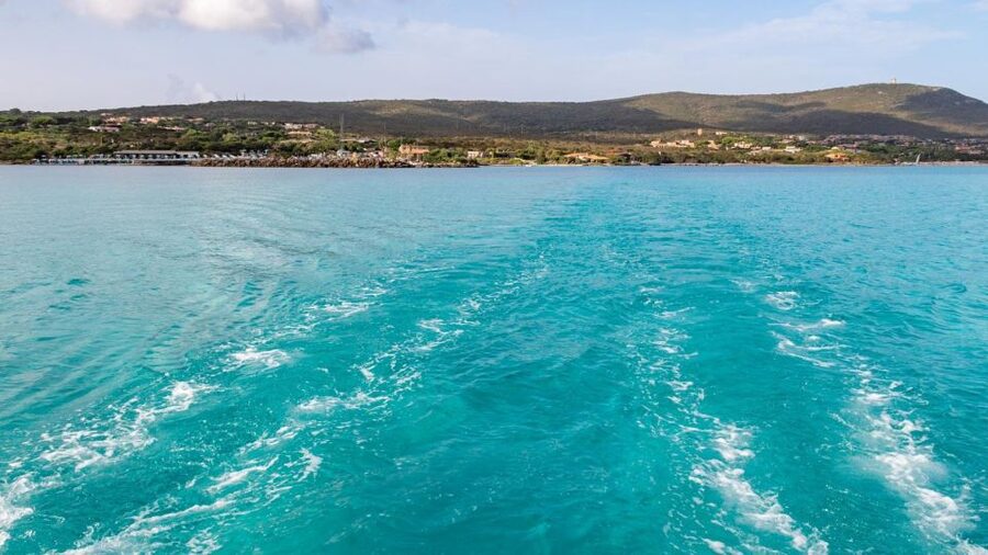 From Stintino: Catamaran tour to Asinara Island - How wind and heat shape the day