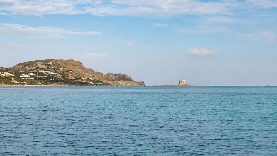 From Stintino: Catamaran tour to Asinara Island - Who will enjoy this catamaran trip