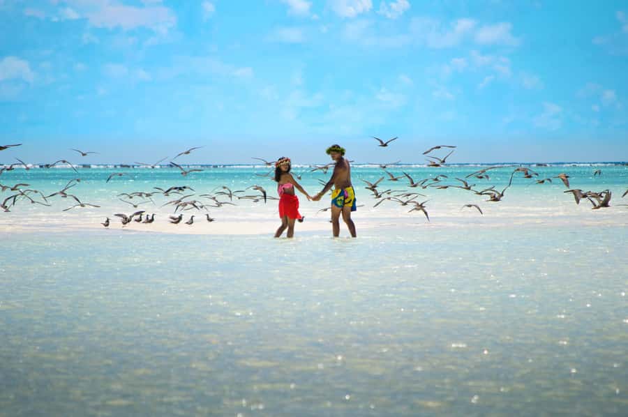 From Tahiti: Tetiaroa Island Tour by Sailing Catamaran - What the $227 price really gets you