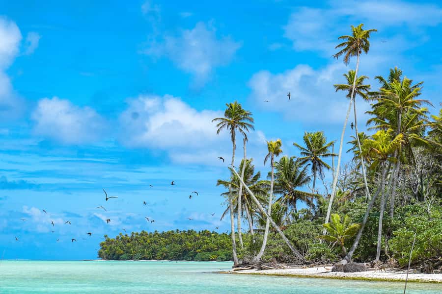 From Tahiti: Tetiaroa Island Tour by Sailing Catamaran - Why Tetiaroa feels different from a standard Tahiti day trip