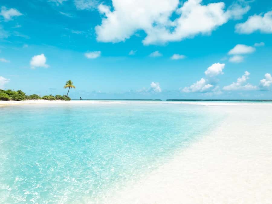 From Tahiti: Tetiaroa Island Tour by Sailing Catamaran - The return ride, punch, and local snacks