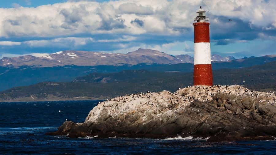 From Ushuaia: Penguin Watching Tour by Catamaran - What the catamaran is like in practice