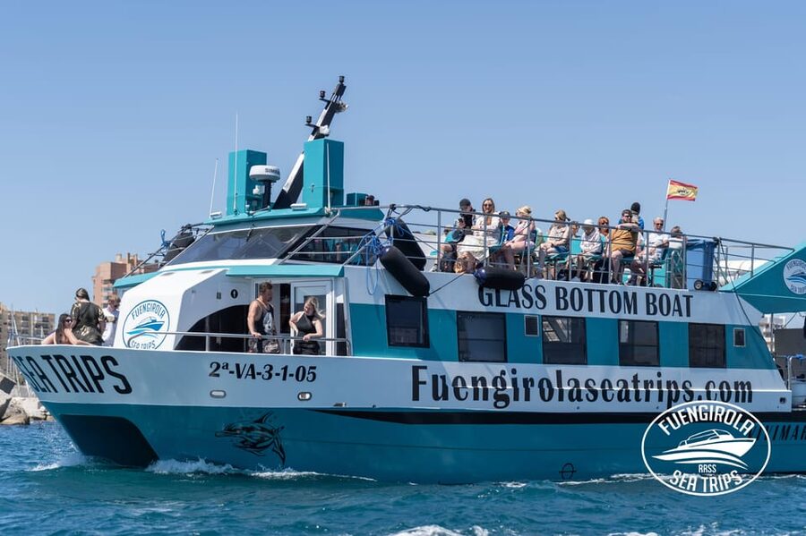 Fuengirola: Catamaran Tour to Spot Dolphins - Setting out from Fuengirola’s harbor