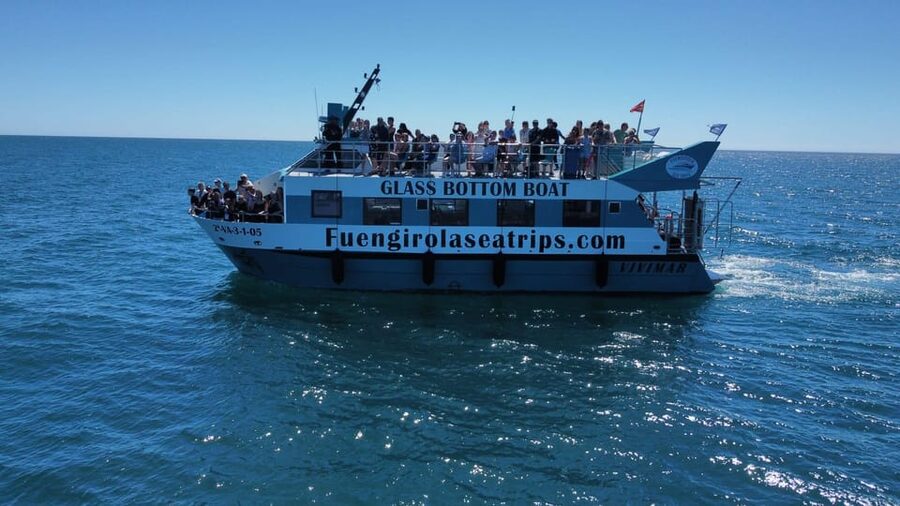 Fuengirola: Catamaran Tour to Spot Dolphins - Watching dolphins without a guarantee