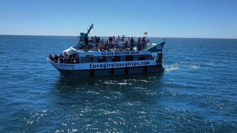 Fuengirola: Catamaran Tour to Spot Dolphins - Drinks, snacks, and the onboard atmosphere