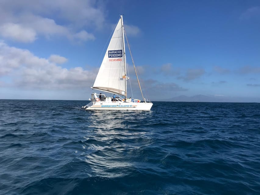 Fuerteventura : Catamaran excursion to Lobos Island - Should you book the Lobos Island catamaran?