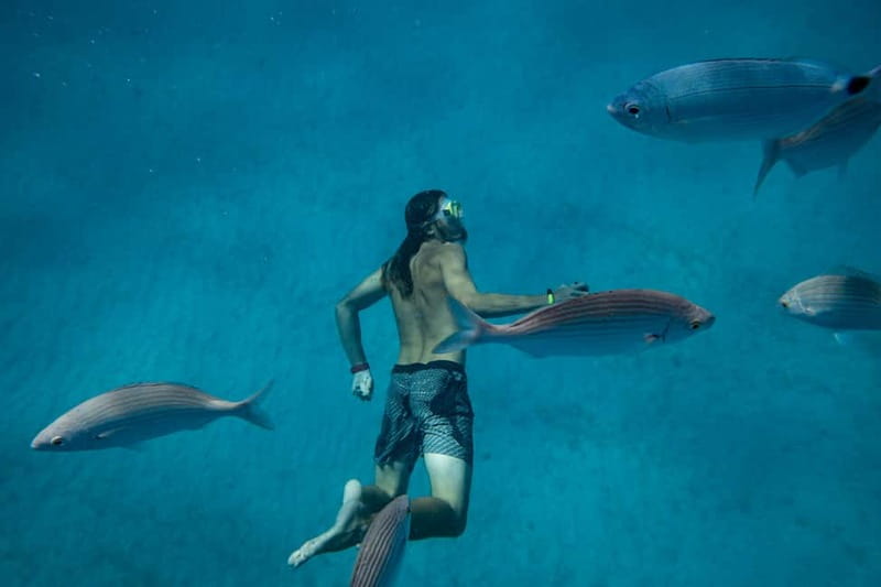 Fuerteventura: Lobos Island Catamaran Cruise with Lunch - The crew and the feel on board