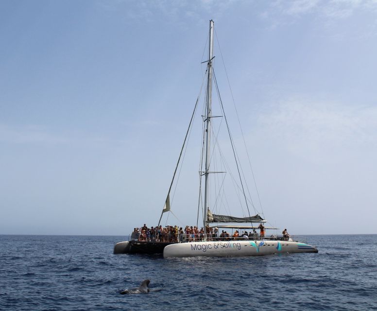 Fuerteventura: Magic Catamaran Trip with Food and Drinks - What the $91 price includes
