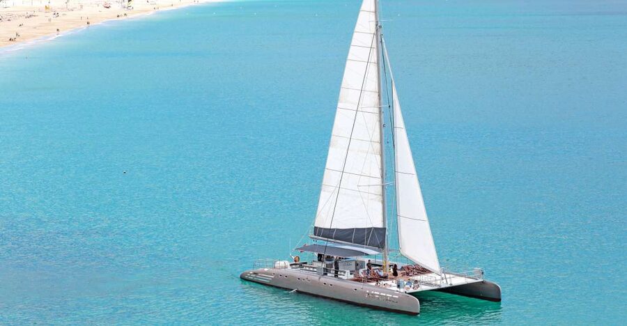 Fuerteventura: Magic Catamaran Trip with Food and Drinks - One and a half hours searching for dolphins and whales