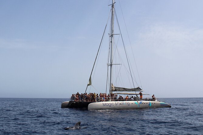 Fuerteventura: Magic Select Catamaran Trip with Food & Drinks - Resort pickup and the timing details that matter