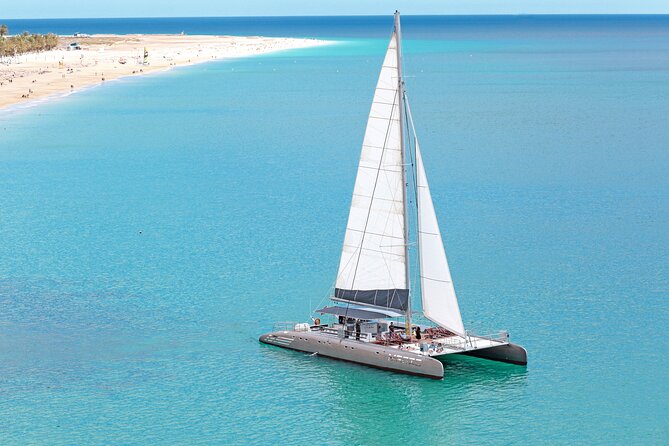 Fuerteventura: Magic Select Catamaran Trip with Food & Drinks - Searching for dolphins and whales offshore