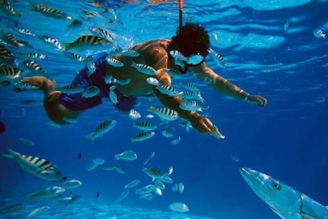 Full-Day Catamaran Cozumel Tour with Sky Snorkeling - Key points to know before booking
