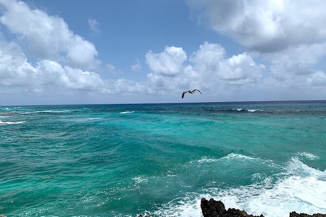 Full-Day Catamaran Cozumel Tour with Sky Snorkeling - Boarding the catamaran near 11 a.m.