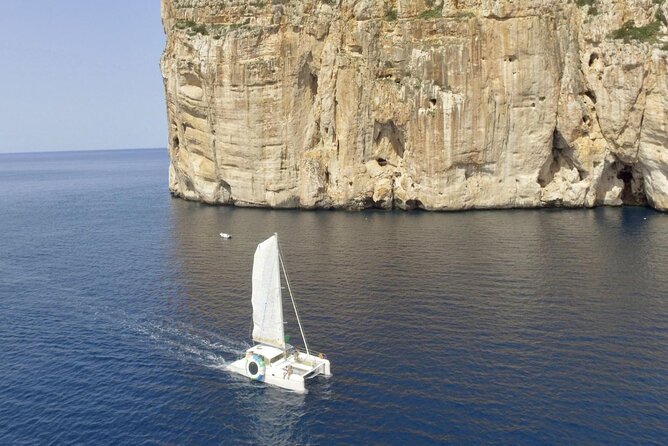 Full day Catamaran cruise in Porto Conte Natural Park - What the $195.26 price includes in practical terms