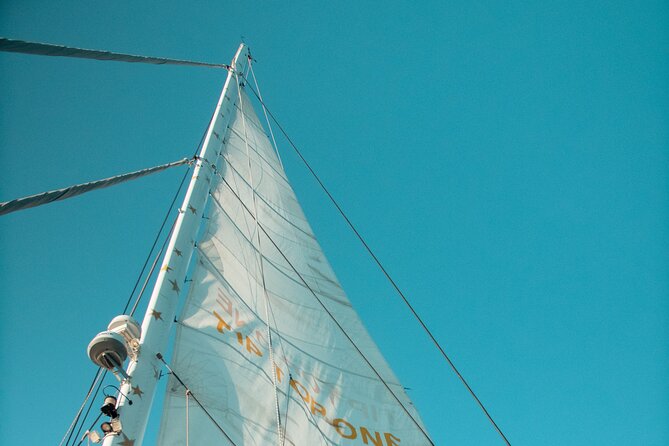 Full-Day Catamaran Cruise with Lunch in Island of Malta - Why the smaller catamaran matters around Comino
