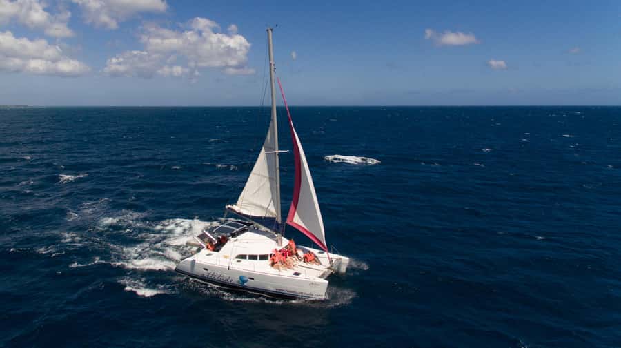 Full Day Catamaran Luxury Cruise to Northern Islands w Lunch - Flat Island brings the main snorkeling session