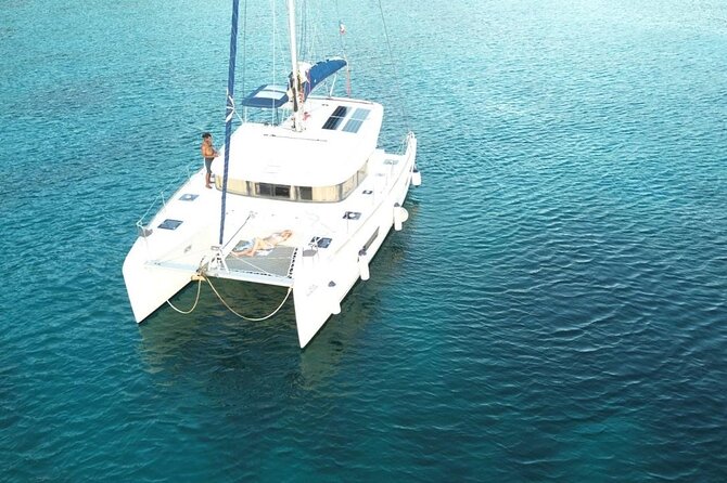 Full day EN Catamaran Martinique Dolphins and Turtles - Key points to know before you book