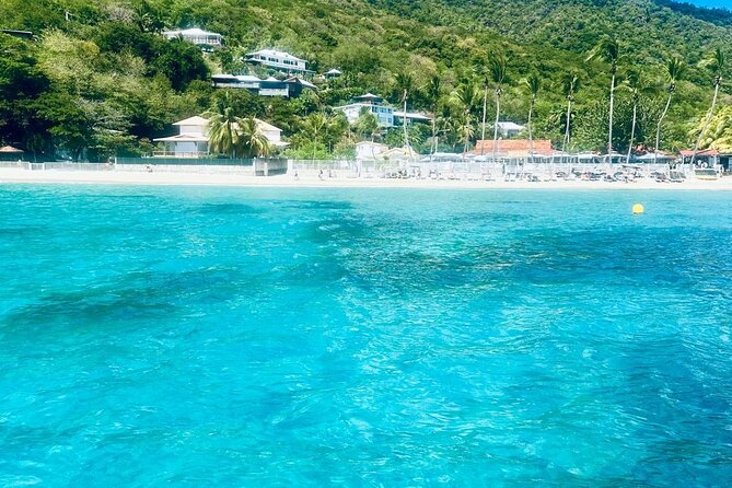 Full day EN Catamaran Martinique Dolphins and Turtles - The bat cave on the return