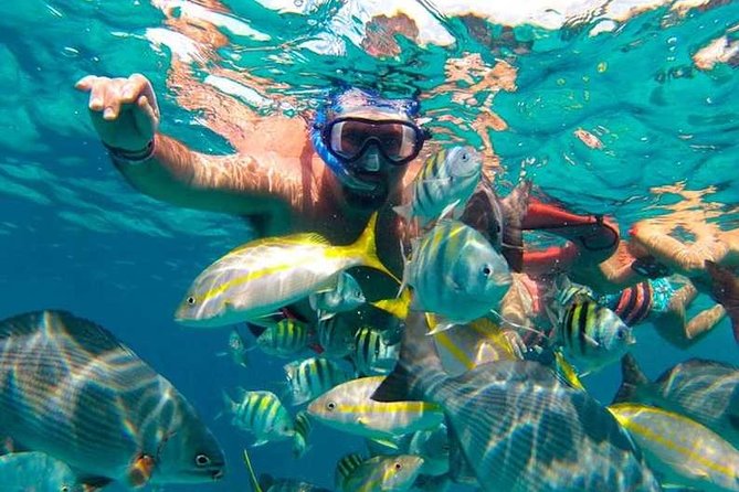 Full-Day Luxurious Catamaran Adventure - Cancún to Isla Mujeres - Lunch and the beach club stop
