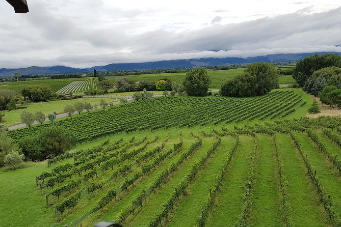 Full-Day Marlborough Catamaran Cruise with Wine Tour and Lunch - Lunch at Saint Clair Family Estate Vineyard Kitchen