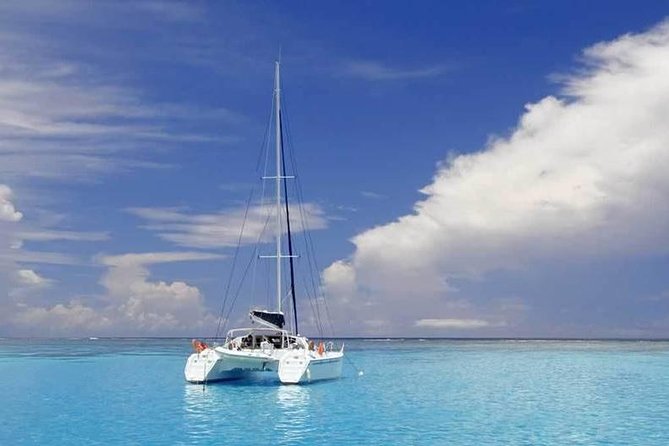 Full-Day Northern Catamaran Cruise: Coin de Mire and Ile Plate Island - Coin de Mire and the second island setting