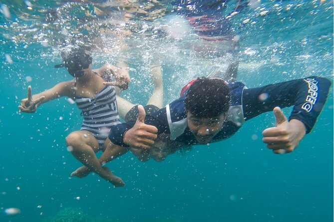 Full Day Private Catamaran Cruise to Bénitiers Island - Tamarin Bay and the search for dolphins