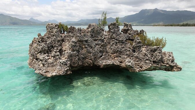Full Day Private Catamaran Cruise to Bénitiers Island - Lunch beside Crystal Rock
