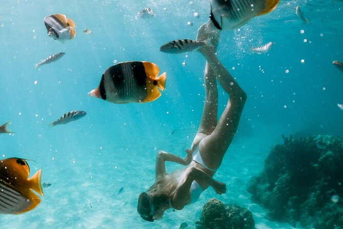 Full Day Tour : Moorea Snorkeling & Sunset Cruise on a Catamaran named Taboo - Setting out from Voila Moorea at 11:15