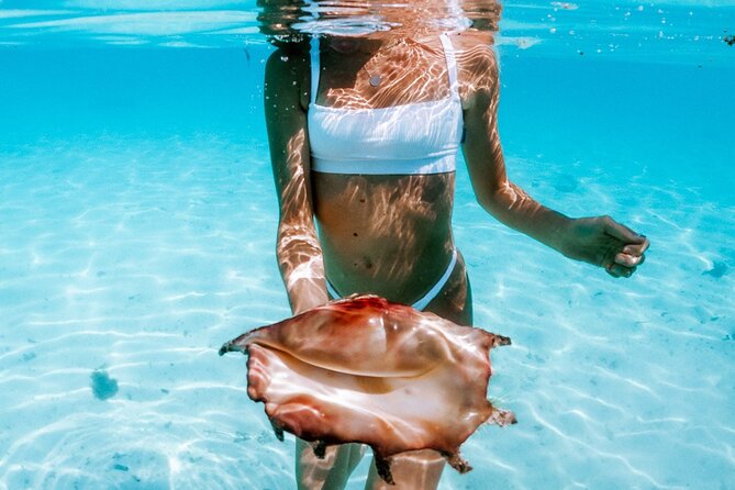 Full Day Tour : Moorea Snorkeling & Sunset Cruise on a Catamaran named Taboo - Cook’s Bay and Opunohu Bay from the water