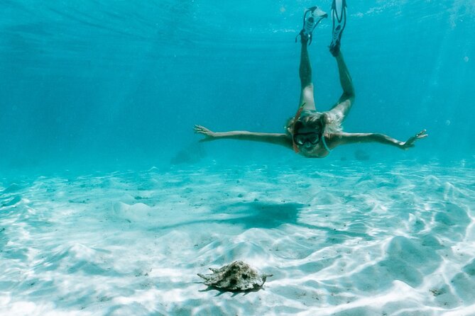 Full Day Tour : Moorea Snorkeling & Sunset Cruise on a Catamaran named Taboo - The sunset portion is worth protecting time for