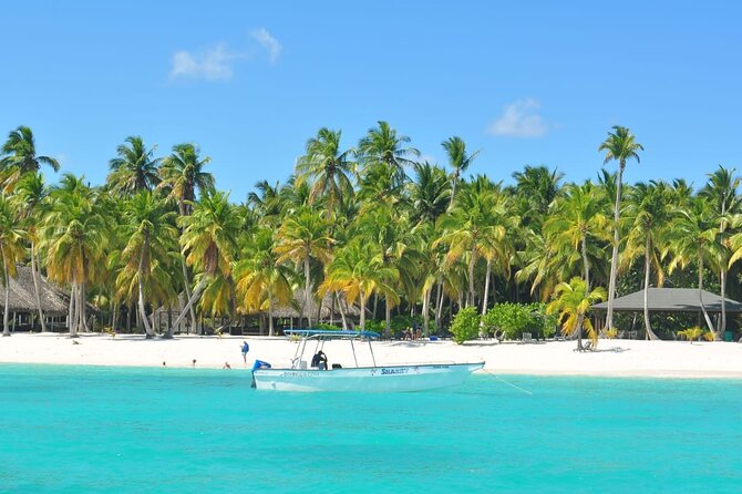 Full Day Tour to Saona Island by Catamaran and Speedboat - Buffet lunch without the planning headache