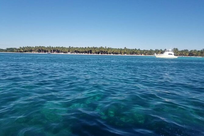 Full Day Tour to Saona Island by Catamaran and Speedboat - What $80 really buys you