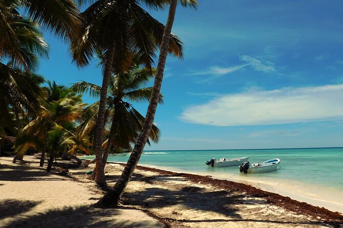Full Day Tour to Saona Island by Catamaran from Cabeza de toro - Key points to know before you book