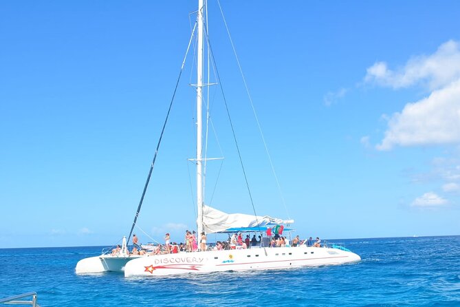 Full Day Tour to Saona Island by Catamaran from Cabeza de toro - Buffet lunch and the value of free time