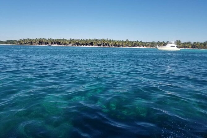 Full Day Tour to Saona Island by Catamaran from Cabeza de toro - Playa Palmilla and the shallow natural pool