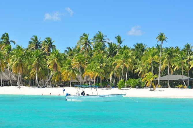 Full Day Tour to Saona Island by Catamaran from Cabeza de toro - What the mixed feedback means for your decision