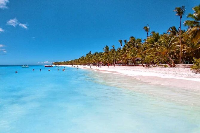 Full Day Tour to Saona Island by Catamaran from Cabeza de toro - Four hours on Saona Island