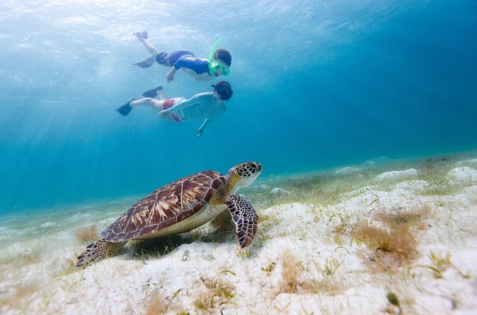 Full or Half Day Private Power Catamaran- USVI Beach and Snorkel - What the captain adds to the day