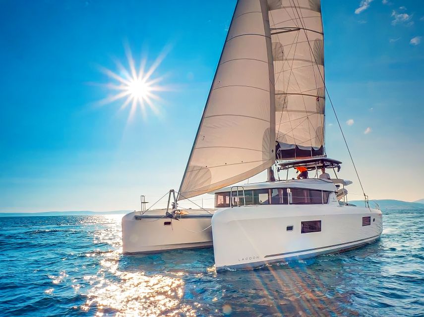 Funchal Bay: Dolphin & Whale Watch Luxury Catamaran Cruise - Searching for dolphins and whales offshore