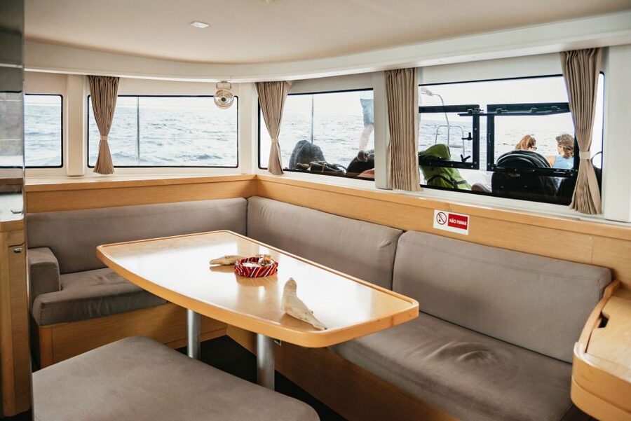 Funchal Bay: Dolphin & Whale Watch Luxury Catamaran Cruise - Who should book this cruise?