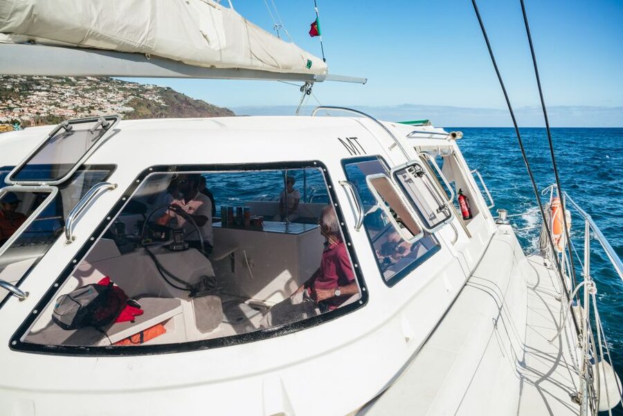 Funchal: Dolphin and Whale Watching by Luxury Catamaran - Key points to know before you sail